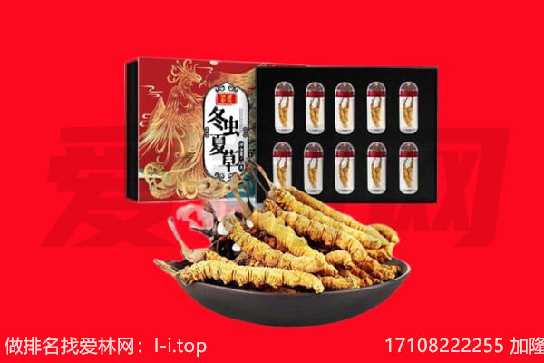 海北虫草回收